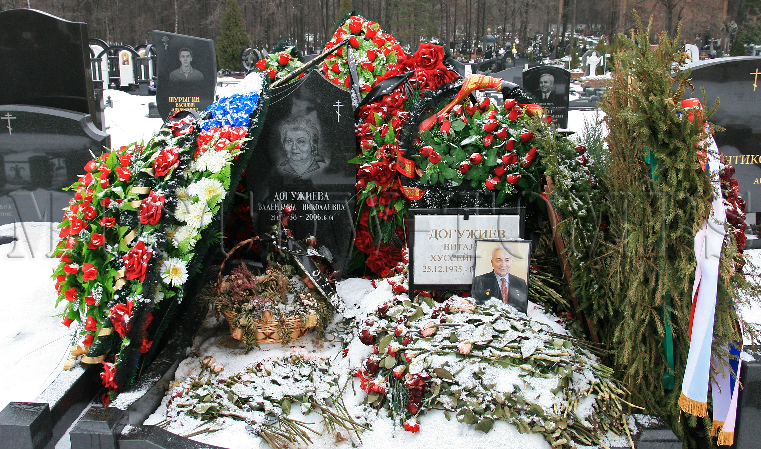 Могила Александра Дедюшко на Троекуровском кладбище