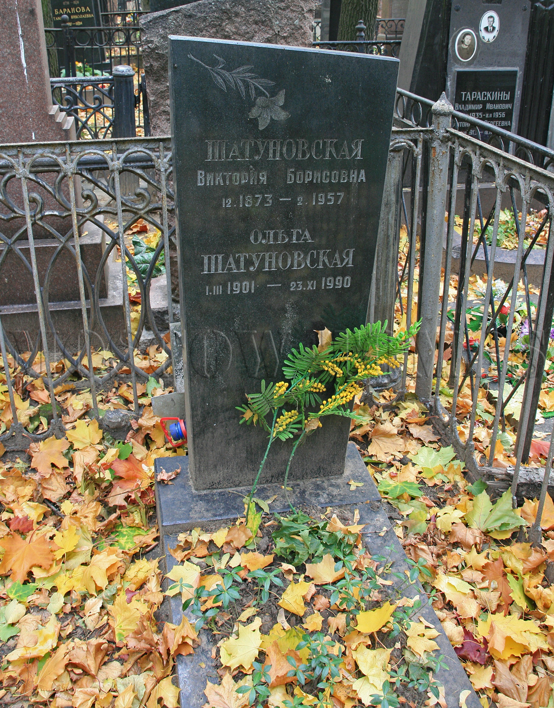 Что написал муж шатуновской. Введенское кладбище. Могила Ольги Шатуновской.
