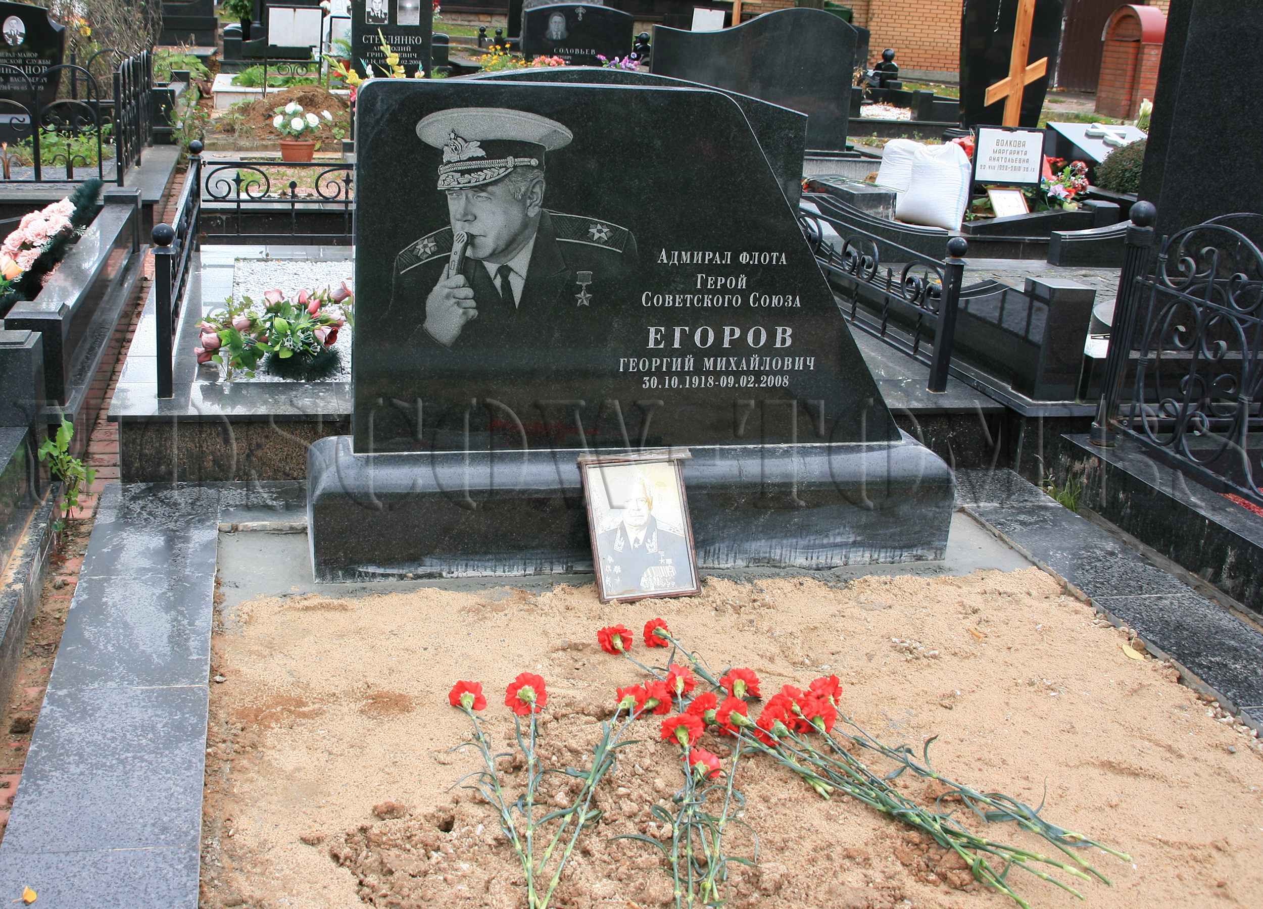 Где похоронили егора. Могила Георгия Вицина. Кладбище Георгия Вицина.