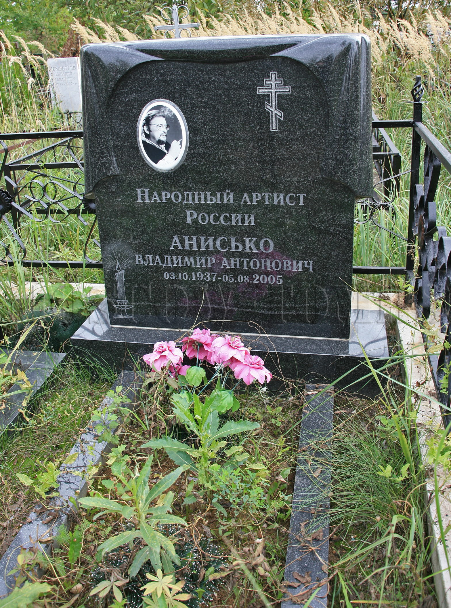 Анисько, Владимир Антонович